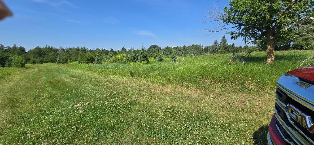 Tbd County Road 7 Property Photo 10