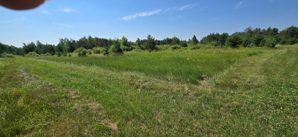 Tbd County Road 7 Property Photo 11