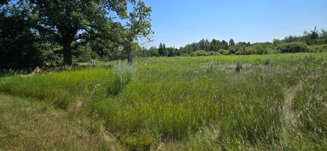 Tbd County Road 7 Property Photo 12