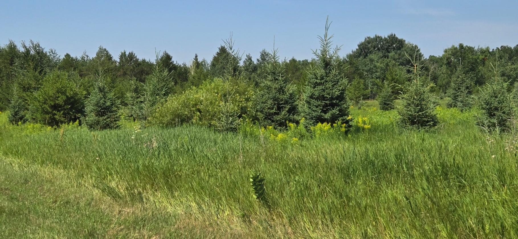 Tbd County Road 7 Property Photo 15