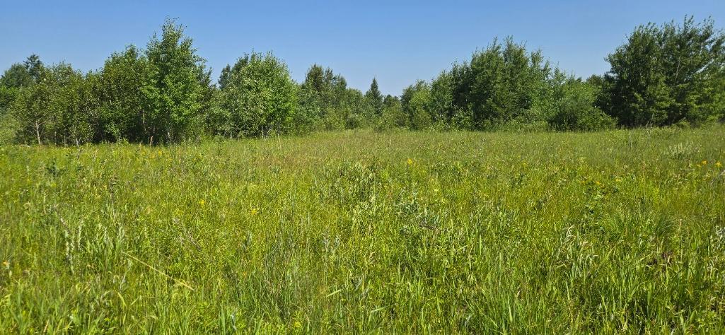 Tbd County Road 7 Property Photo 17