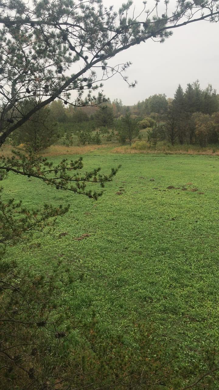 Tbd County Road 7 Property Photo 20
