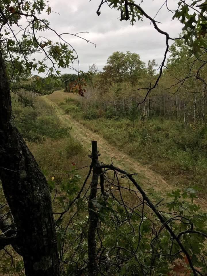Tbd County Road 7 Property Photo 22