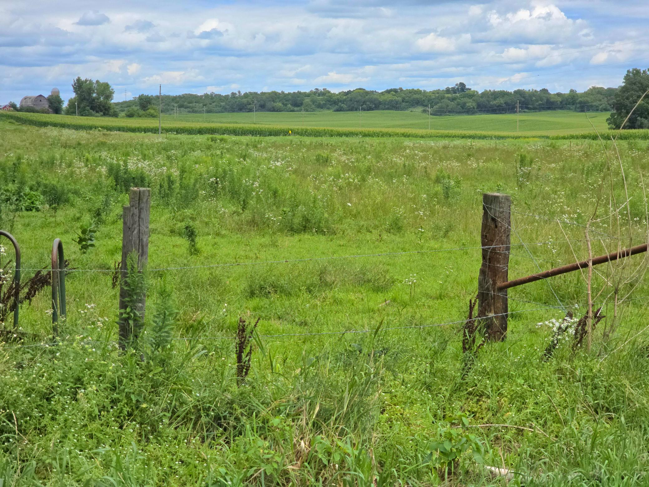 18395 Game Road Property Photo 47