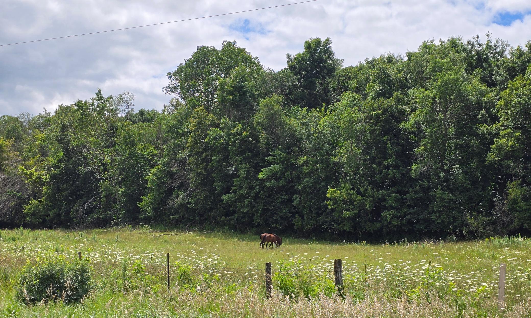 18395 Game Road Property Photo 49