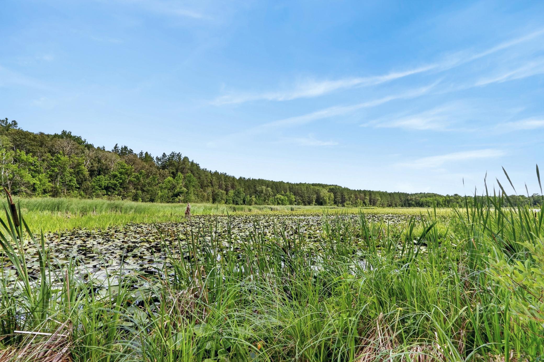 28750 Prairie Lake Road Property Photo 45
