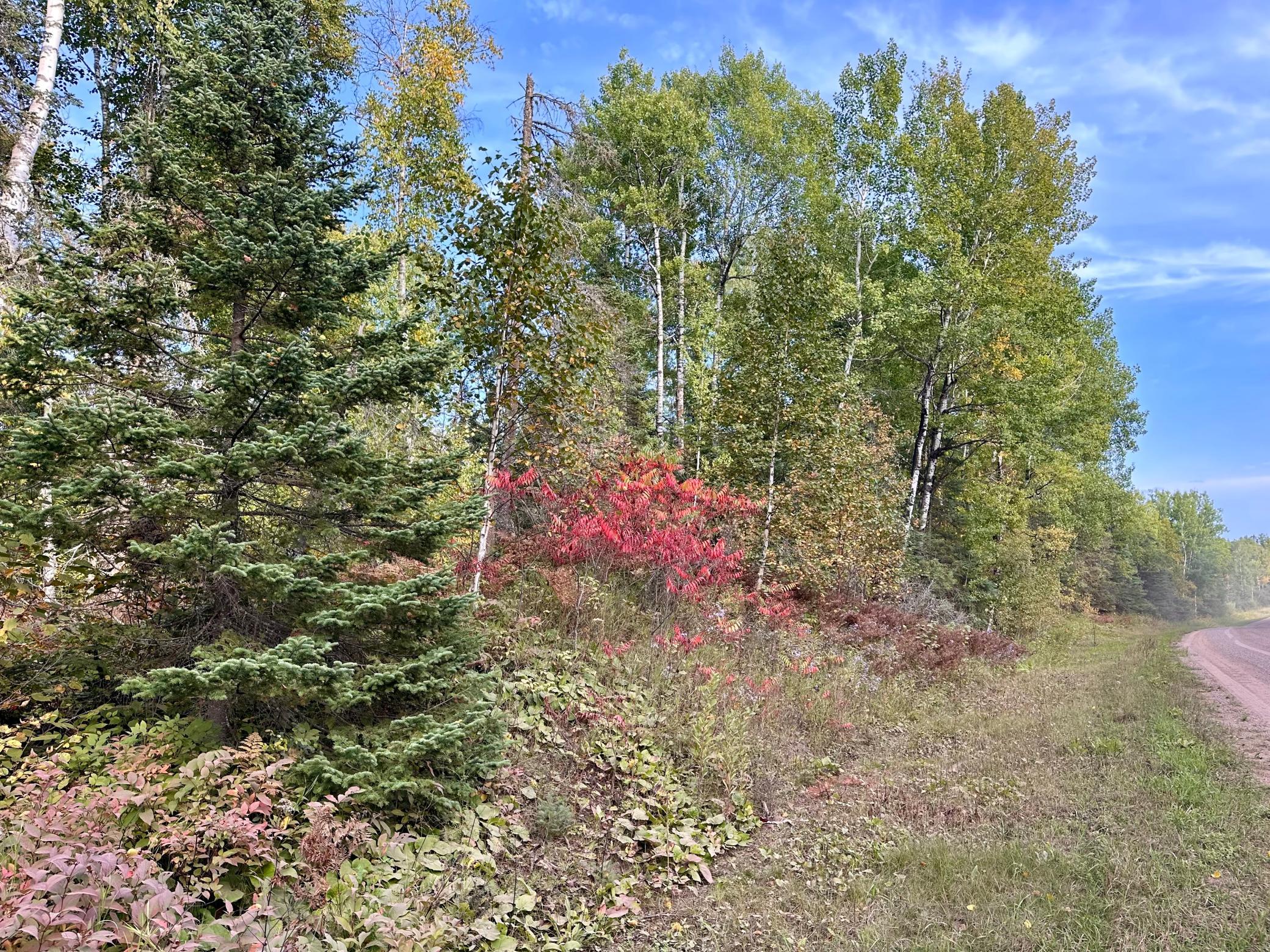 Tbd Old Vermilion Trail Property Photo 10