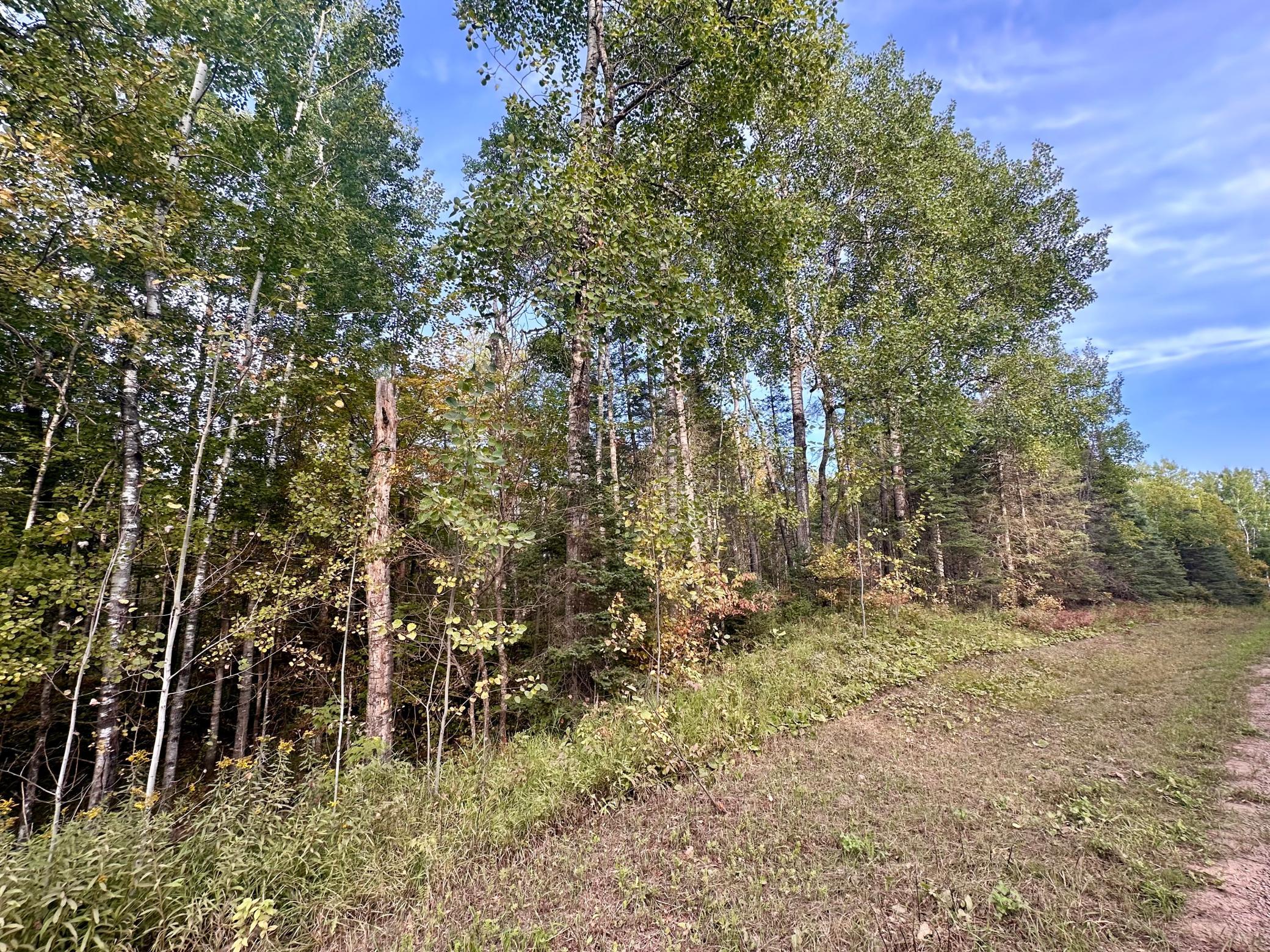 Tbd Old Vermilion Trail Property Photo 11