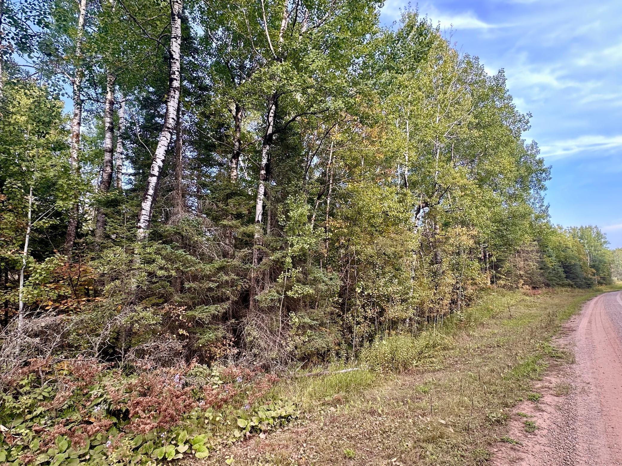 Tbd Old Vermilion Trail Property Photo 12