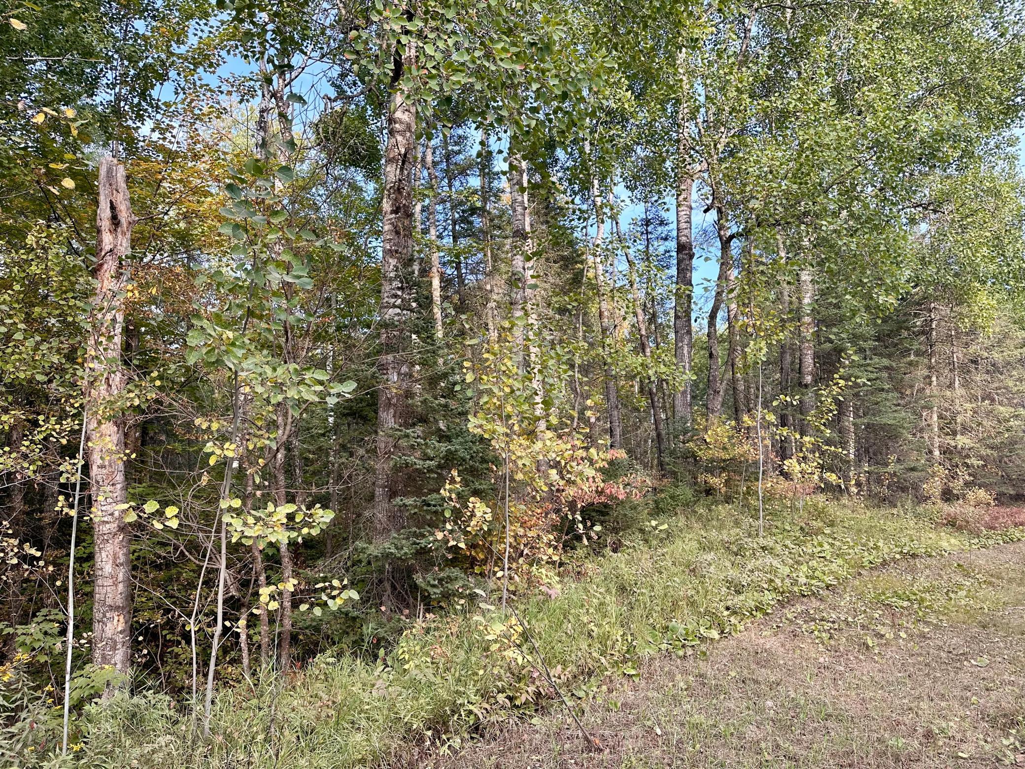 Tbd Old Vermilion Trail Property Photo 13