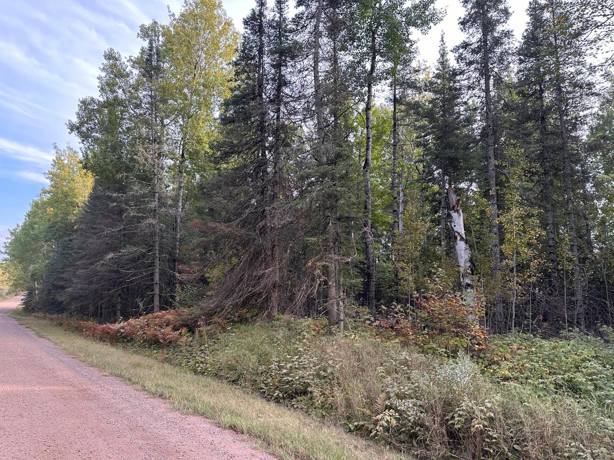 Tbd Old Vermilion Trail Property Photo 15