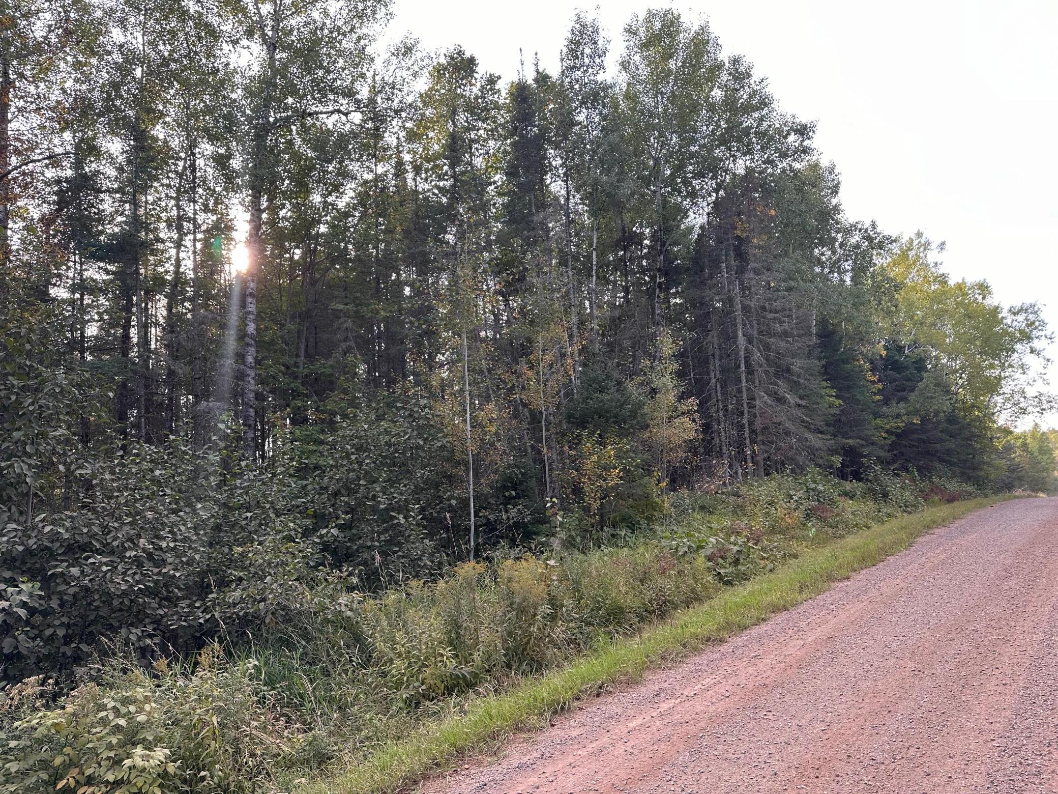 Tbd Old Vermilion Trail Property Photo 16