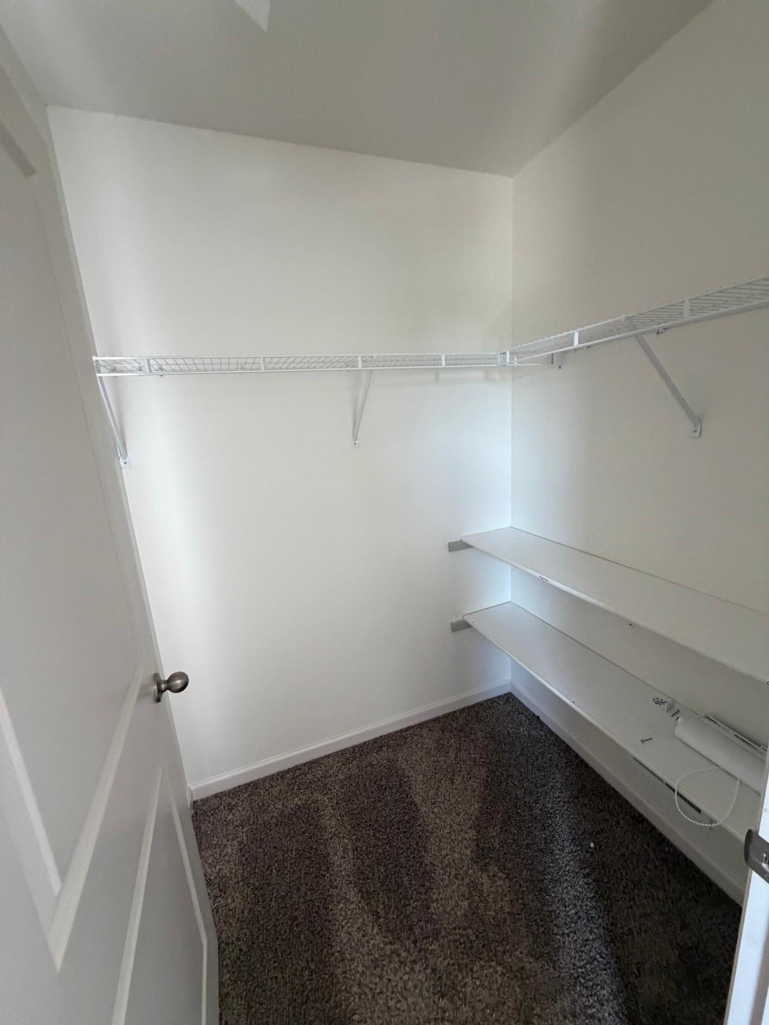 1309 Shadow Creek Curve Property Photo 14