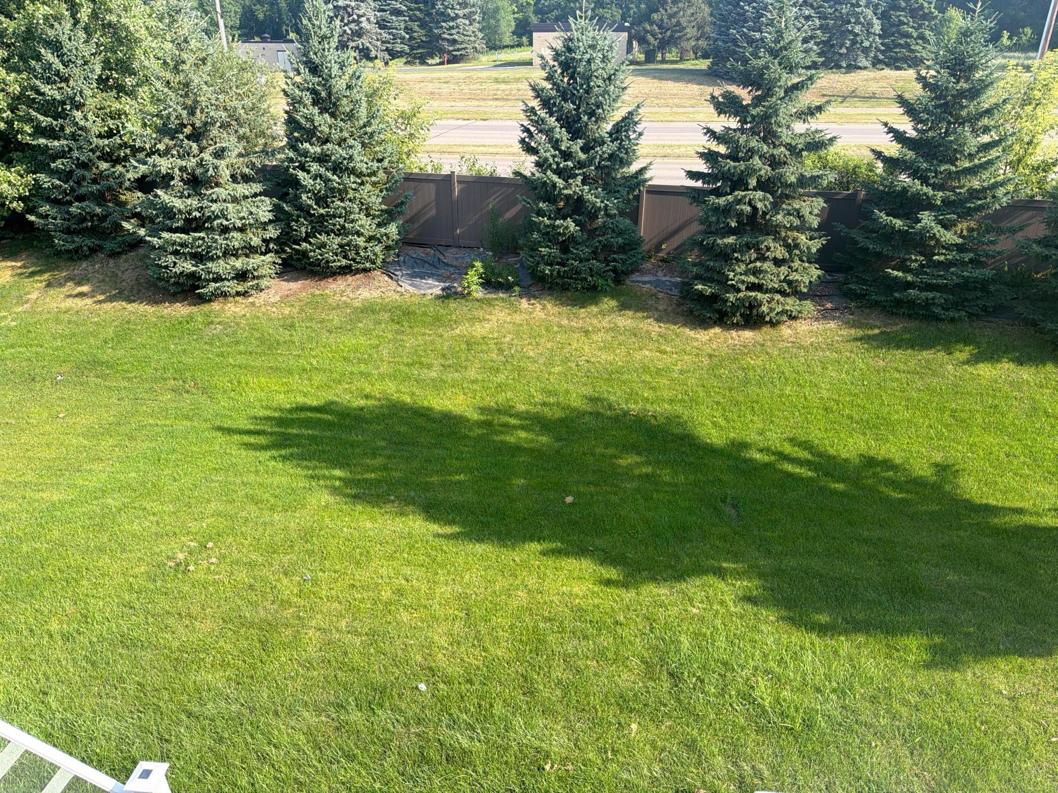 1309 Shadow Creek Curve Property Photo 29