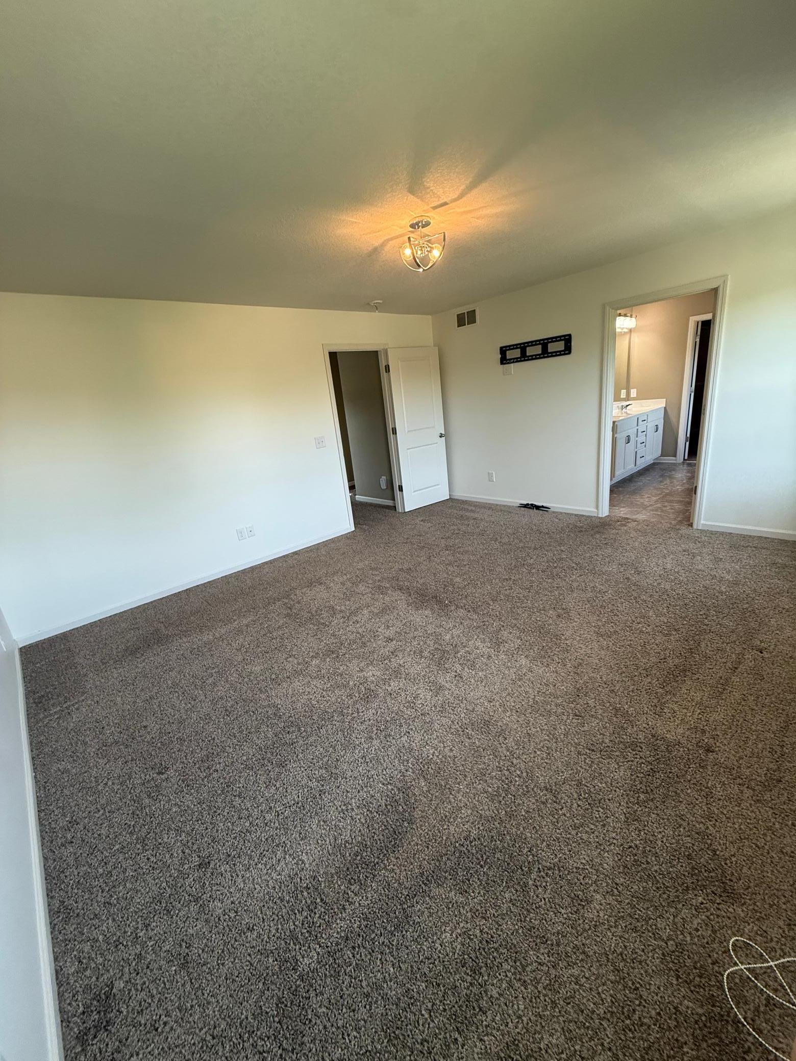 1309 Shadow Creek Curve Property Photo 43