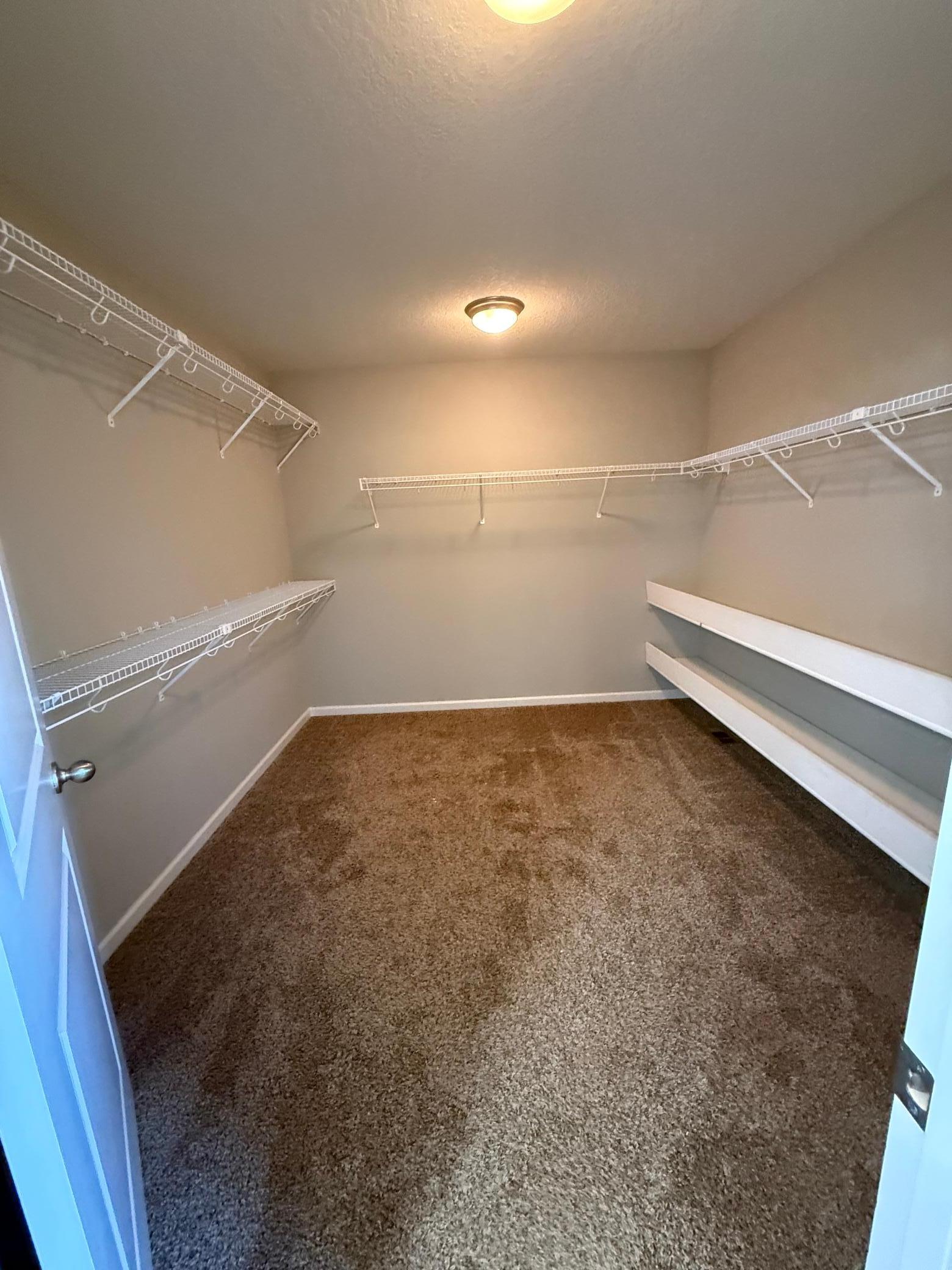 1309 Shadow Creek Curve Property Photo 44