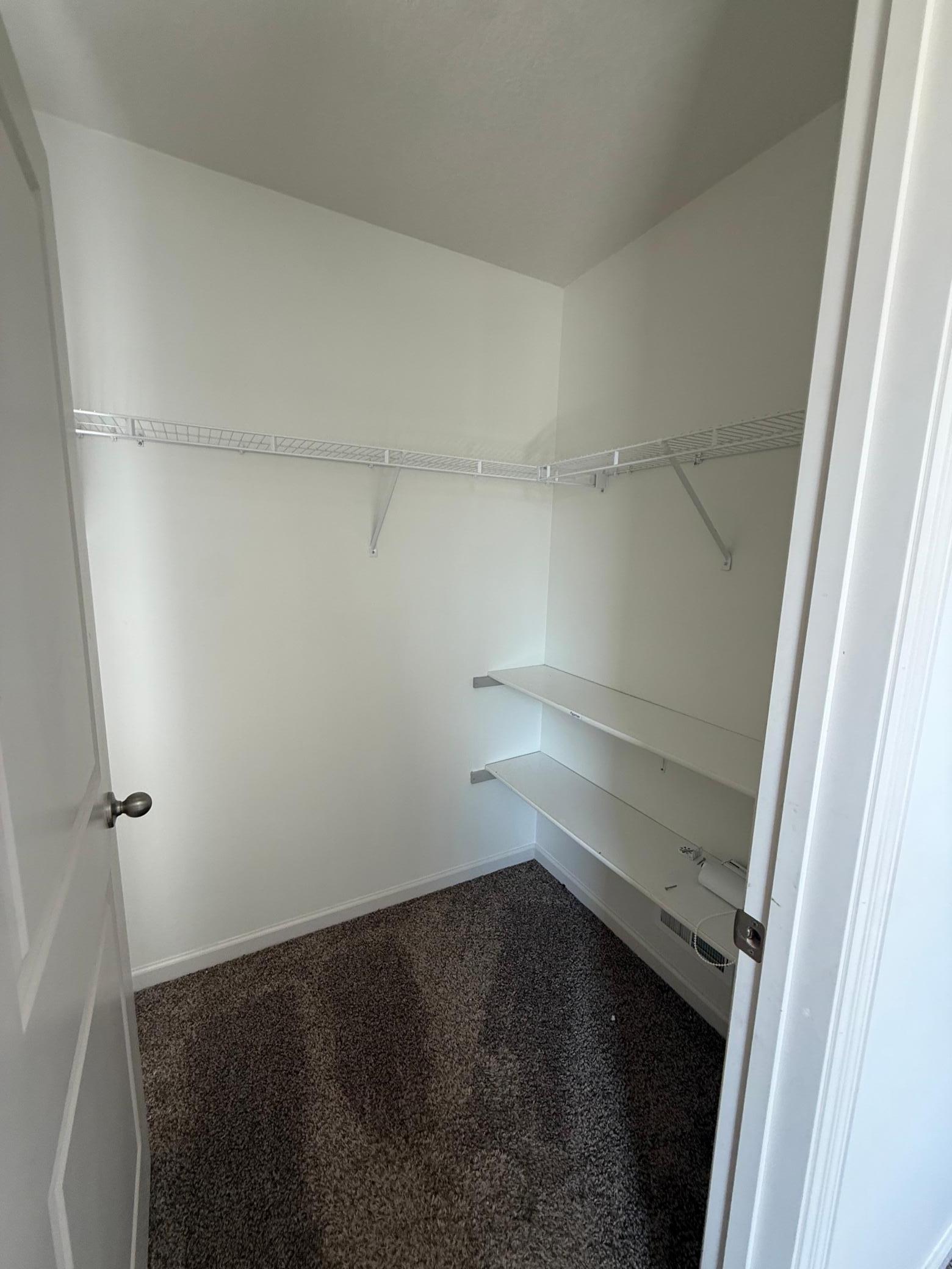 1309 Shadow Creek Curve Property Photo 48