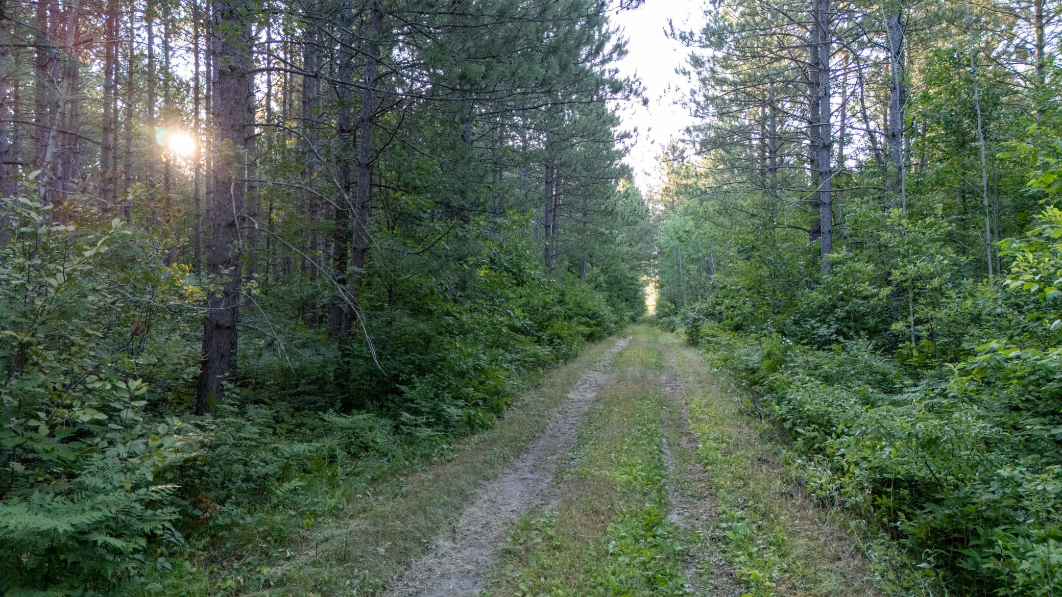Nesw Forest Road 3845 Ne Property Photo 1