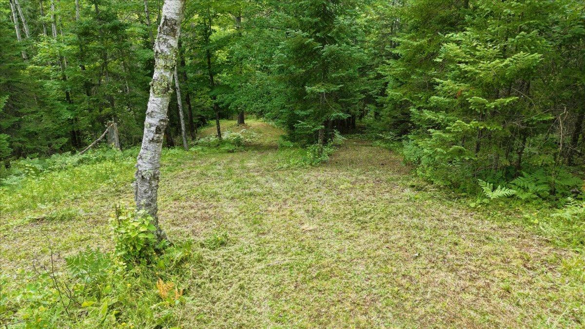 3785 S County Road D Property Photo 8