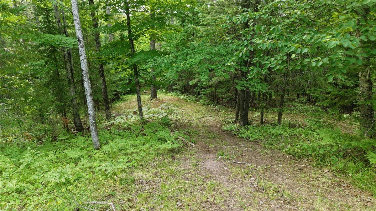 3785 S County Road D Property Photo 10