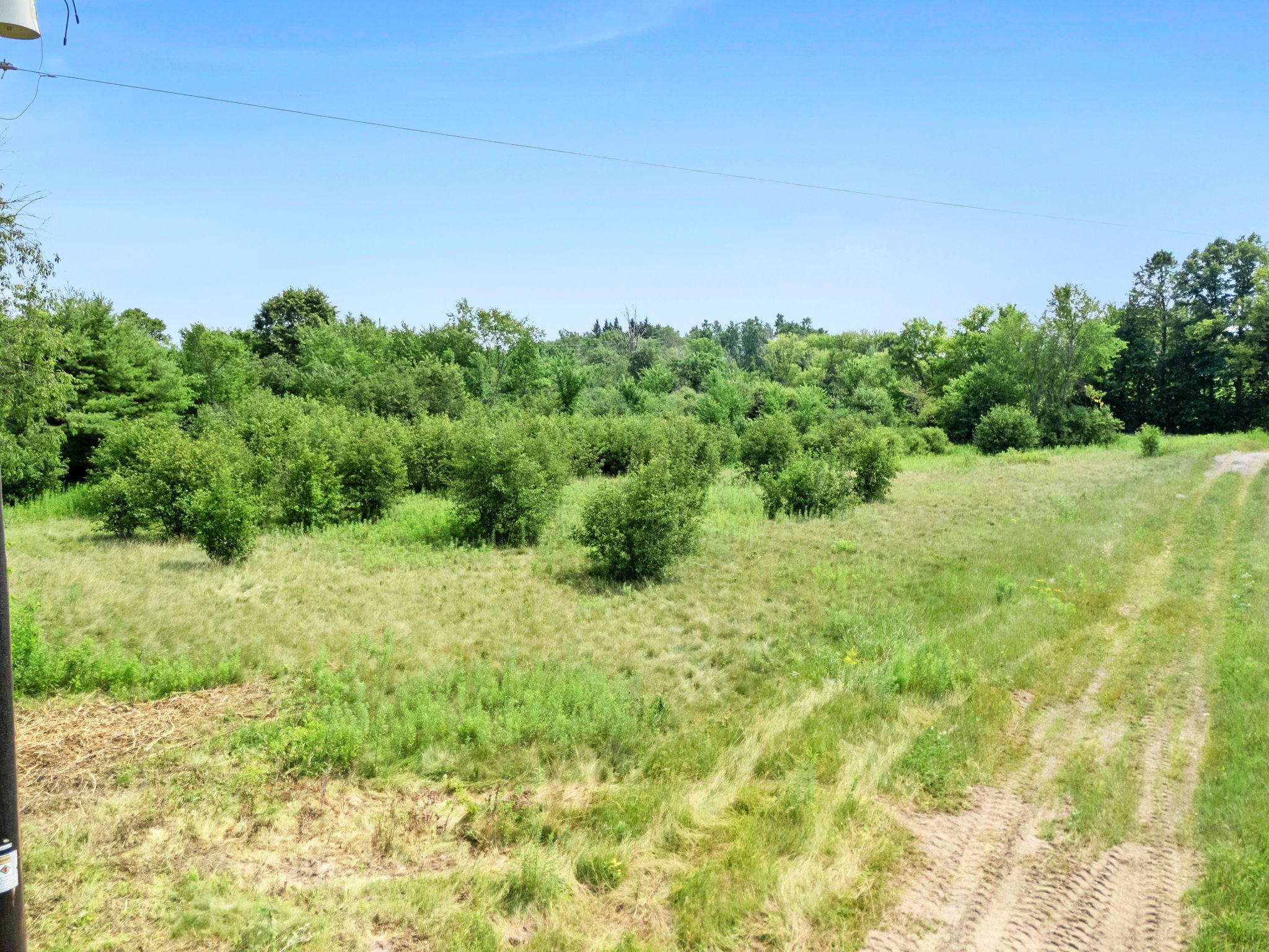 1587 270th Avenue Property Photo 29