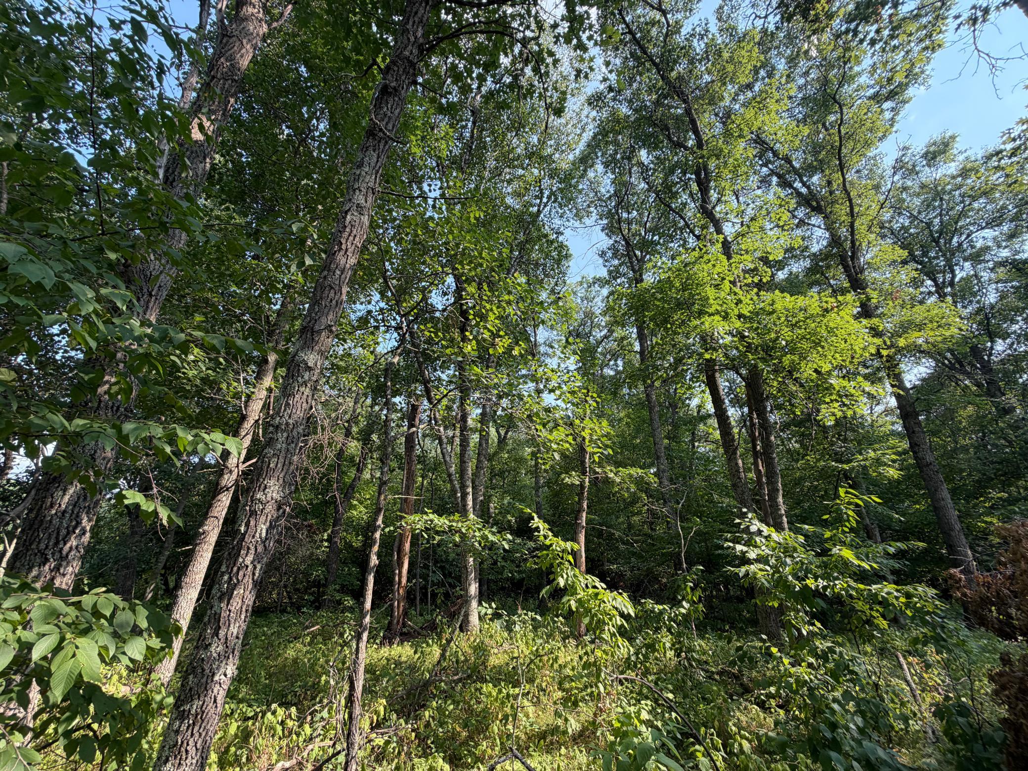 Tbd Pawnee Circle Property Photo 2