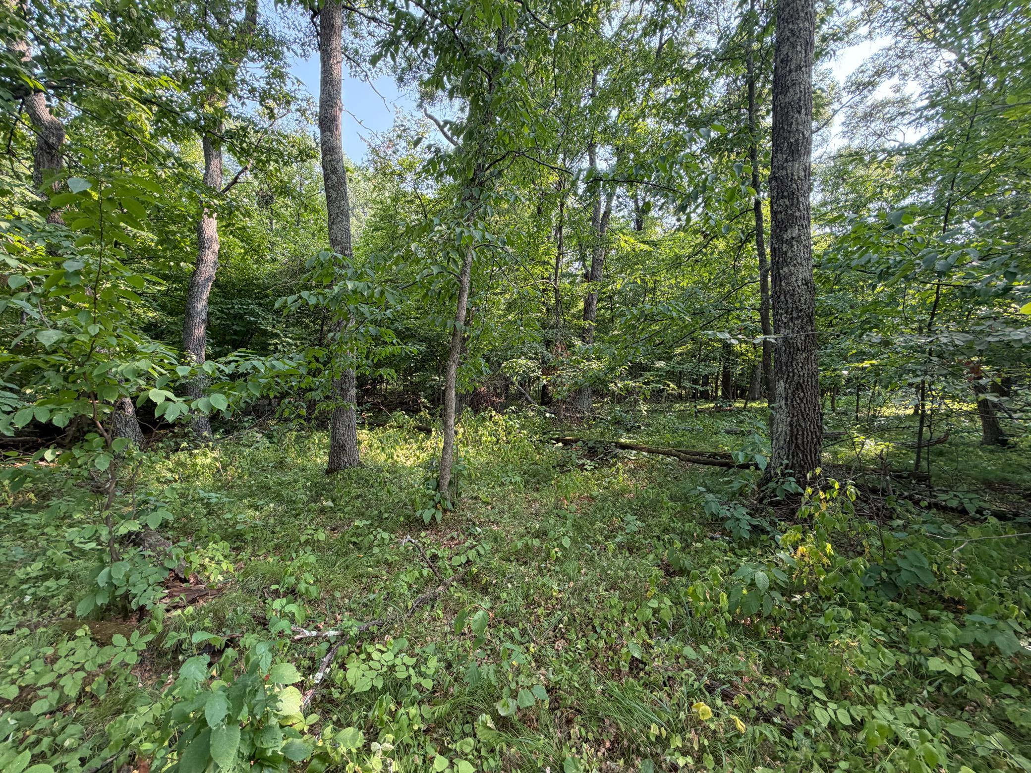 Tbd Pawnee Circle Property Photo 3