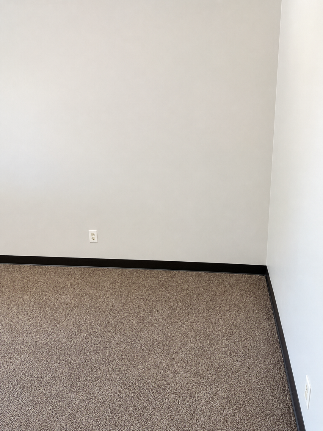 310 S 8th Street 4 Property Photo 5