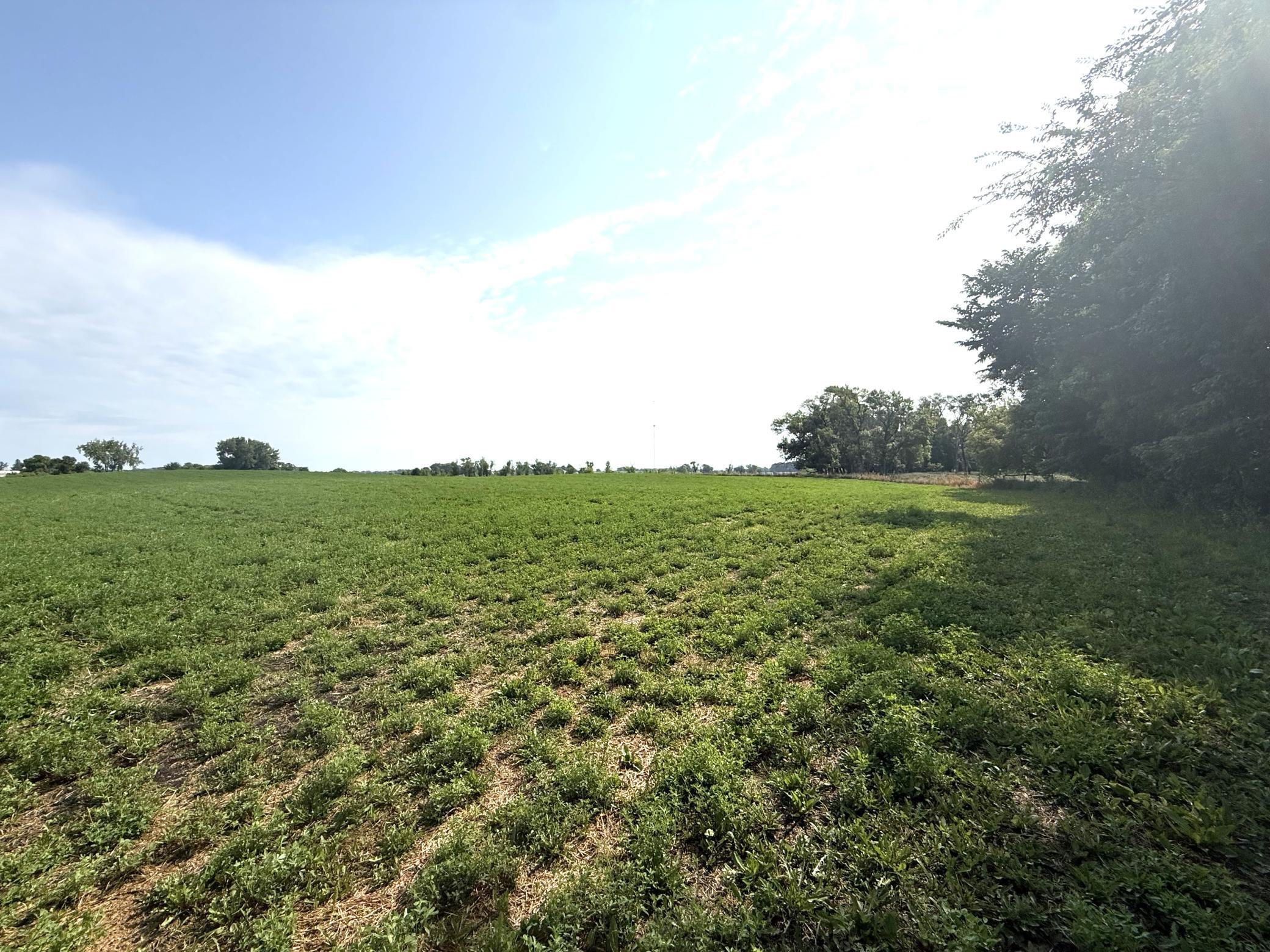 Tbd County Road 7 Property Photo 1