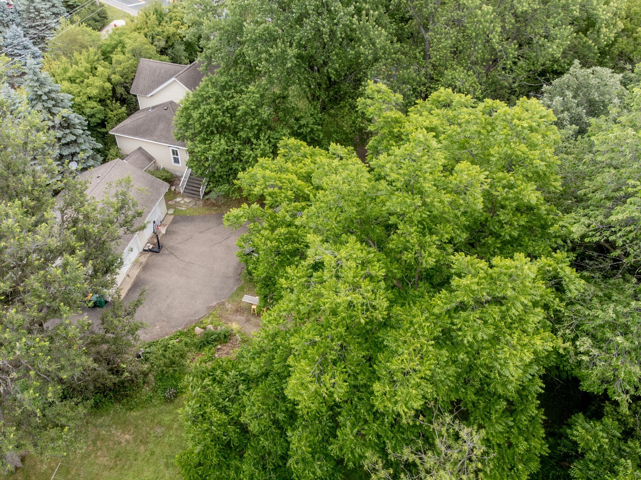 1603 Dodd Road Property Photo 5