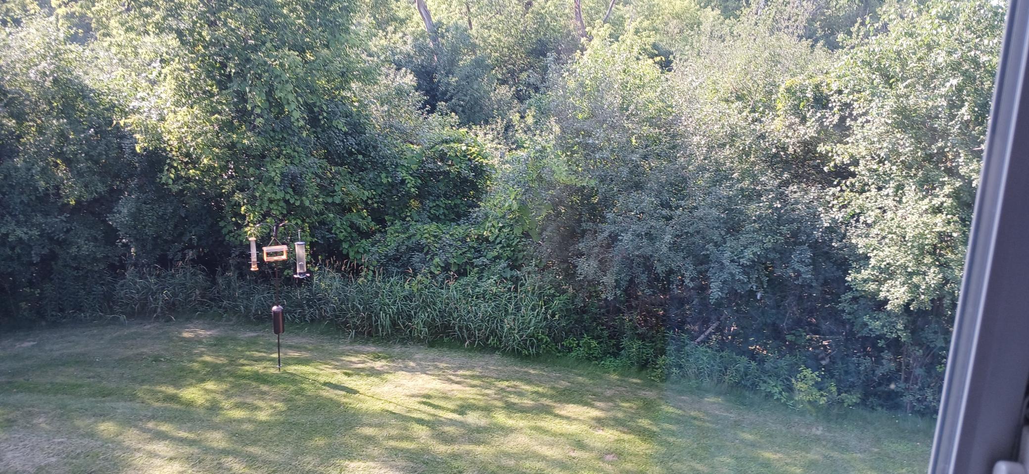 1685 33rd Circle S Property Photo 8