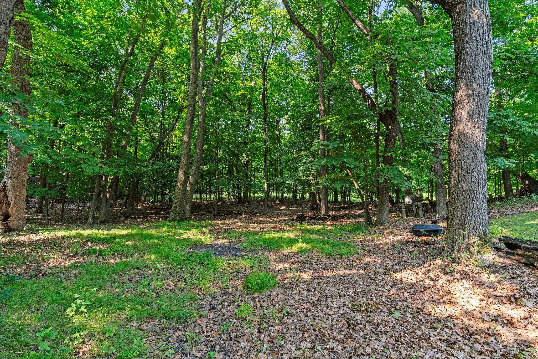 280 Big Island Property Photo 8