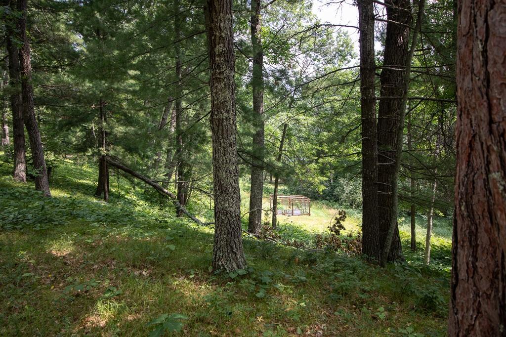 1444 Plummer Point Road Ne Property Photo 39
