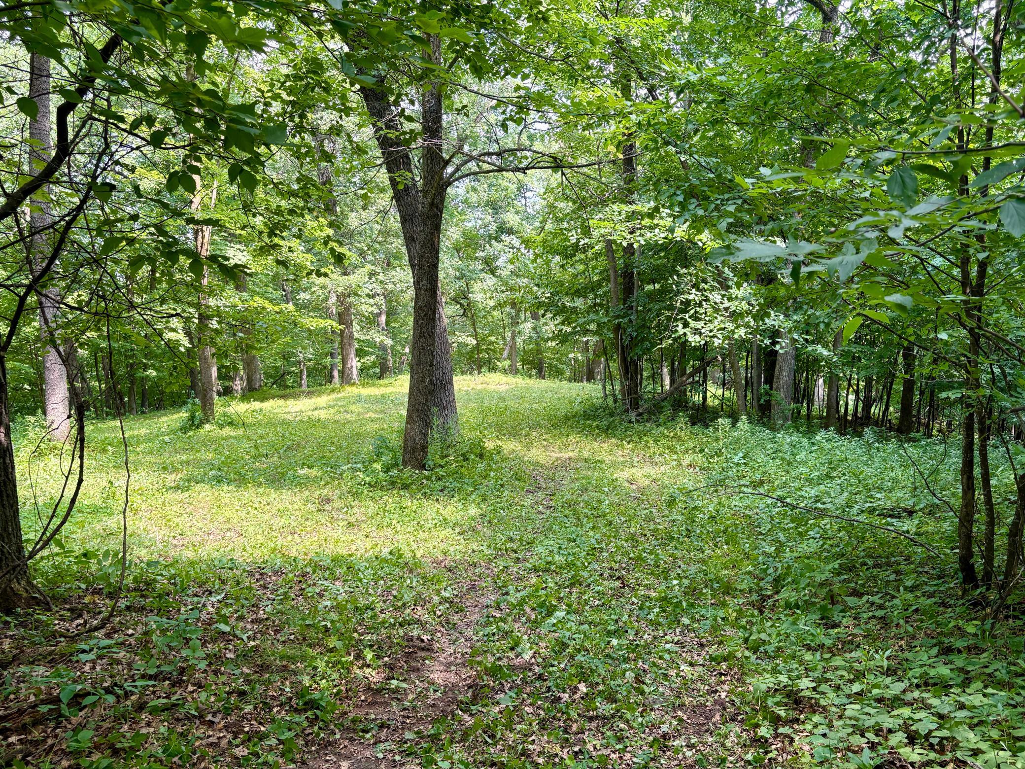Tbd 160th Avenue Property Photo 29