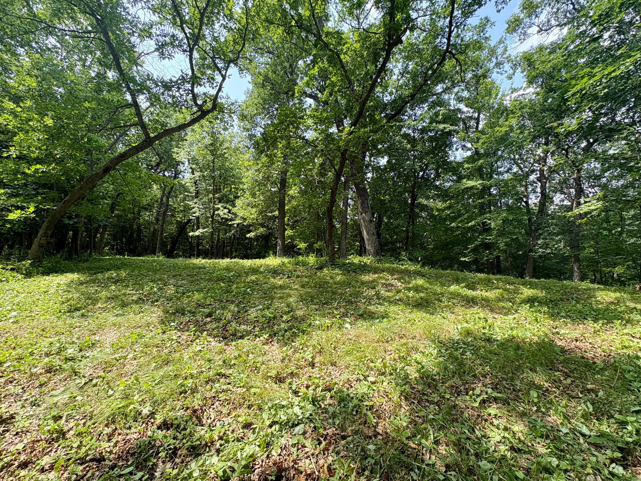 Tbd 160th Avenue Property Photo 31