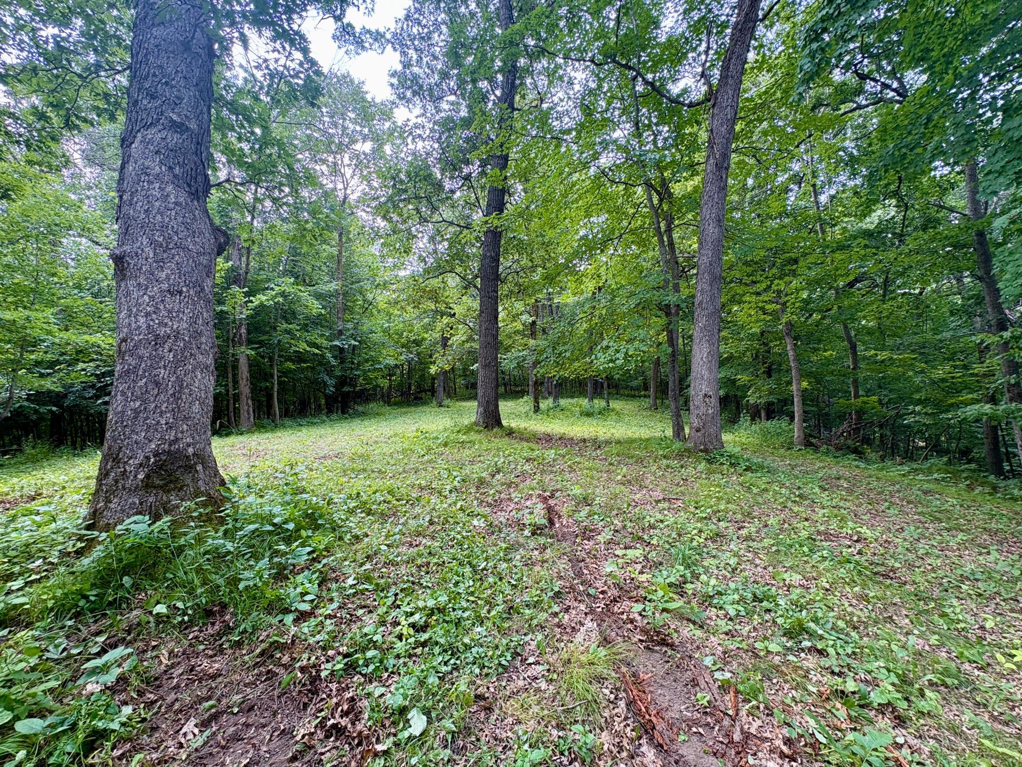 Tbd 160th Avenue Property Photo 32
