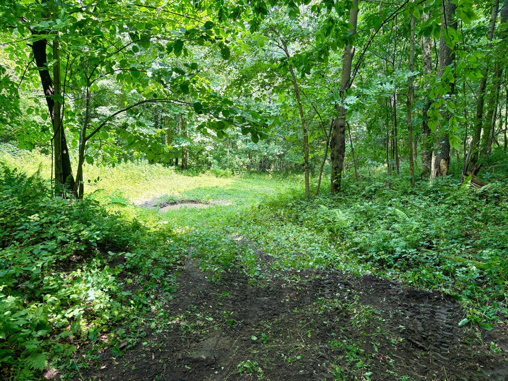 Tbd 160th Avenue Property Photo 33