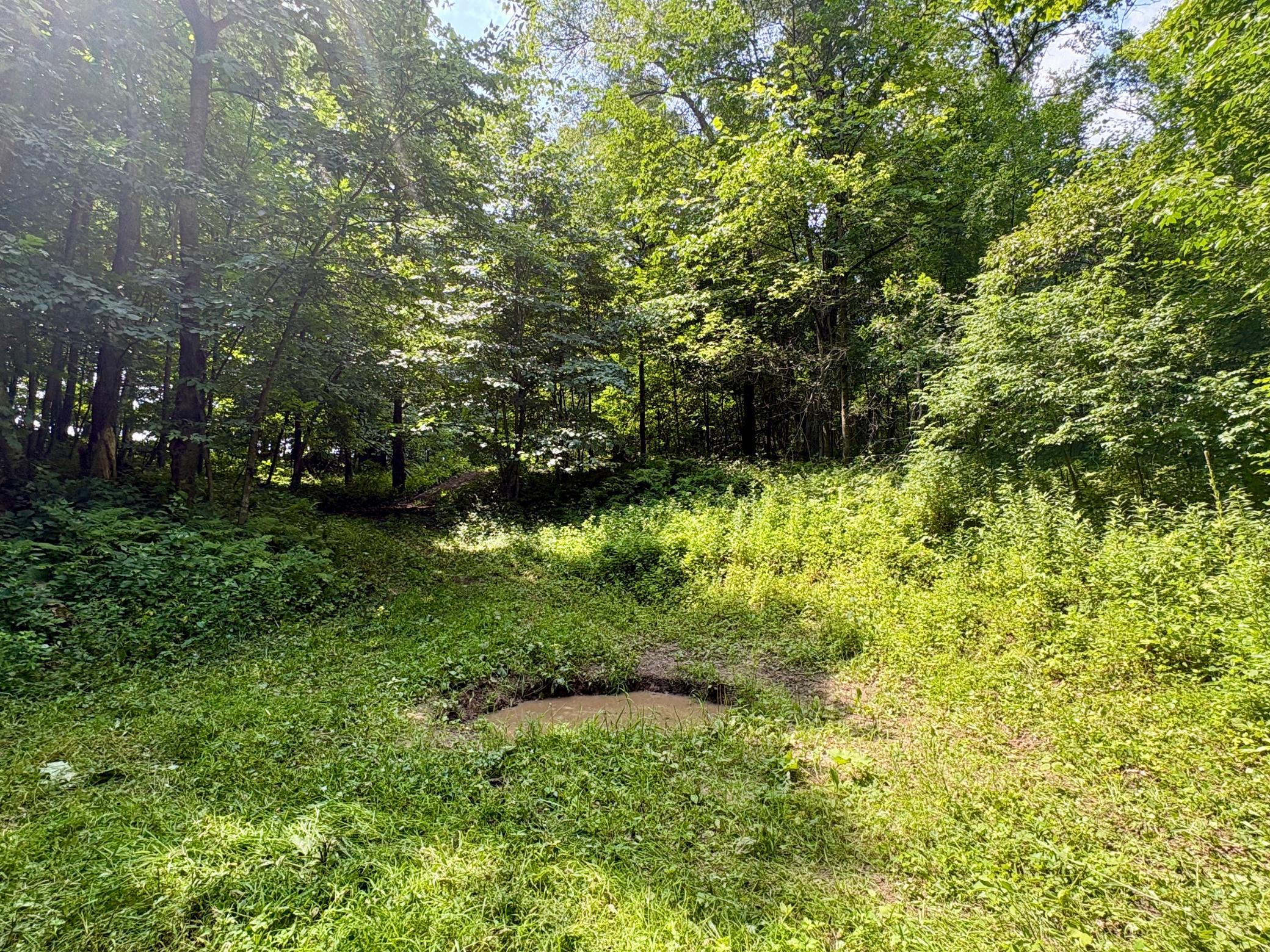 Tbd 160th Avenue Property Photo 35