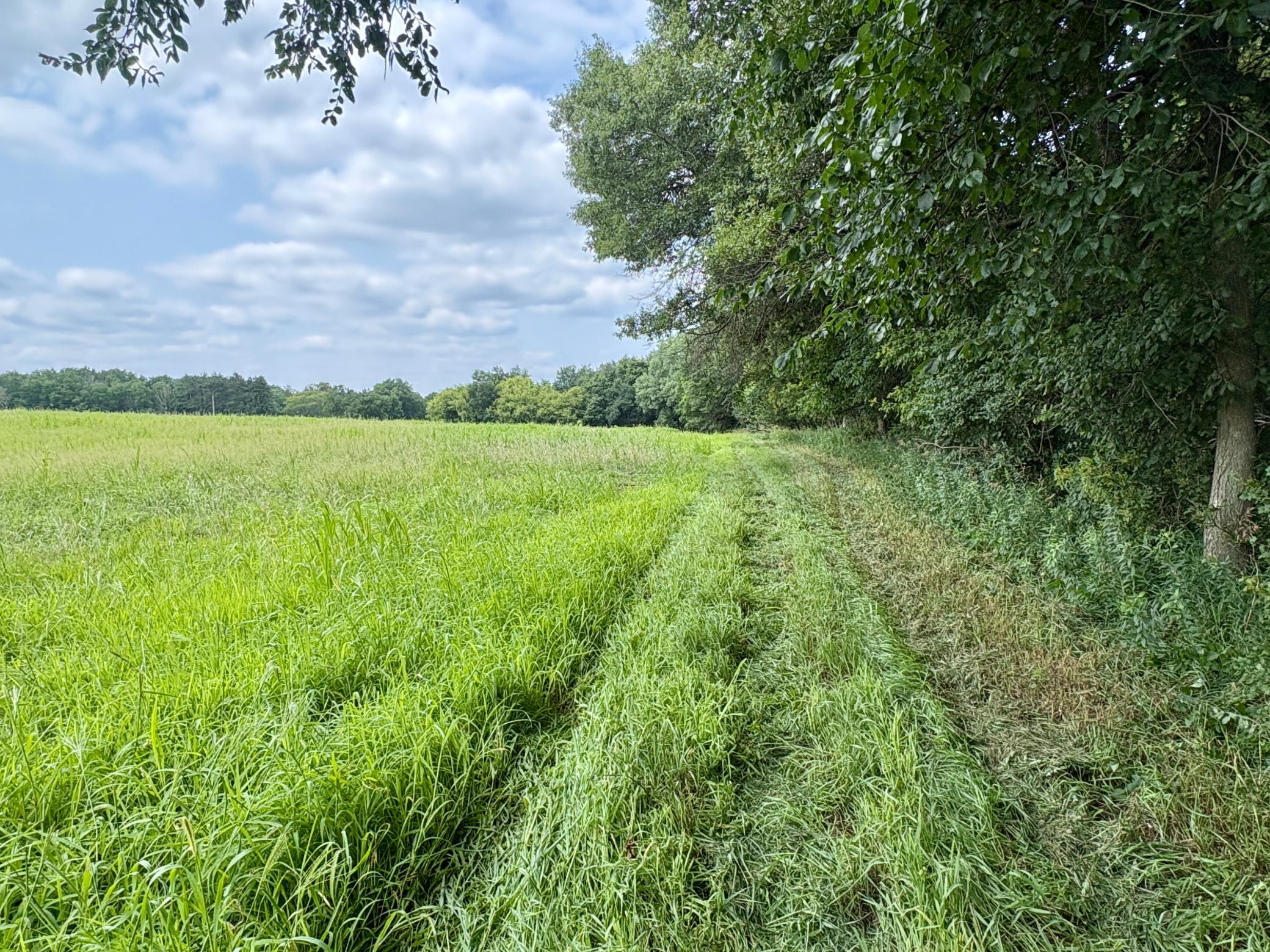 Tbd 160th Avenue Property Photo 39