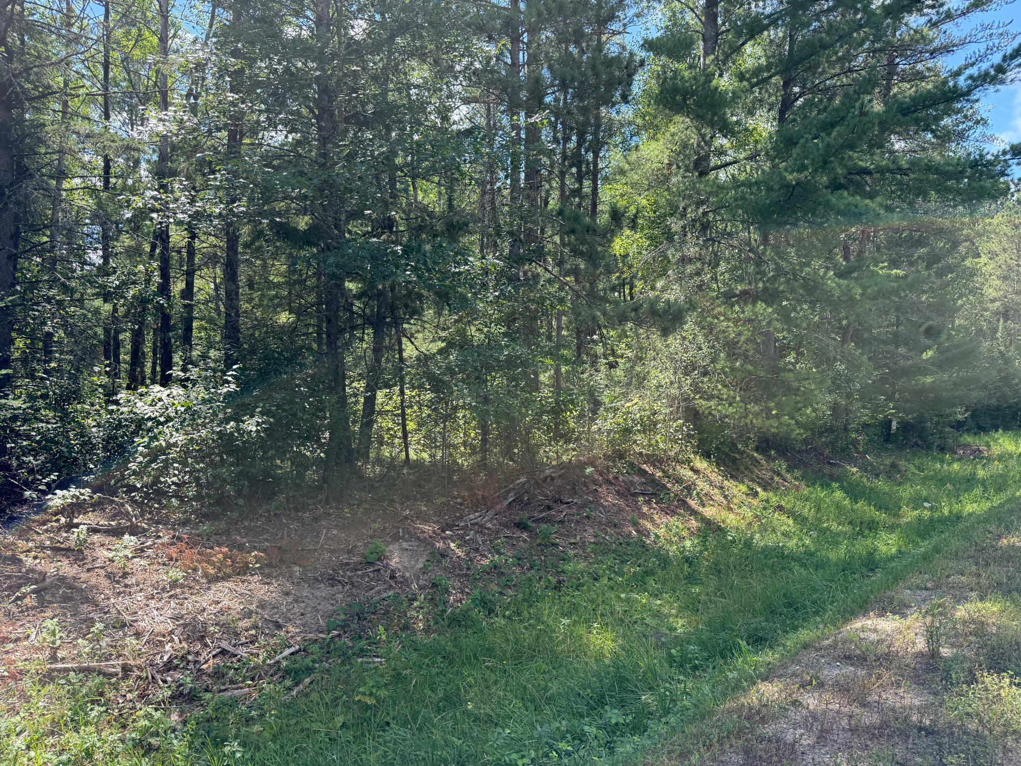 28393 County 93 Property Photo 2