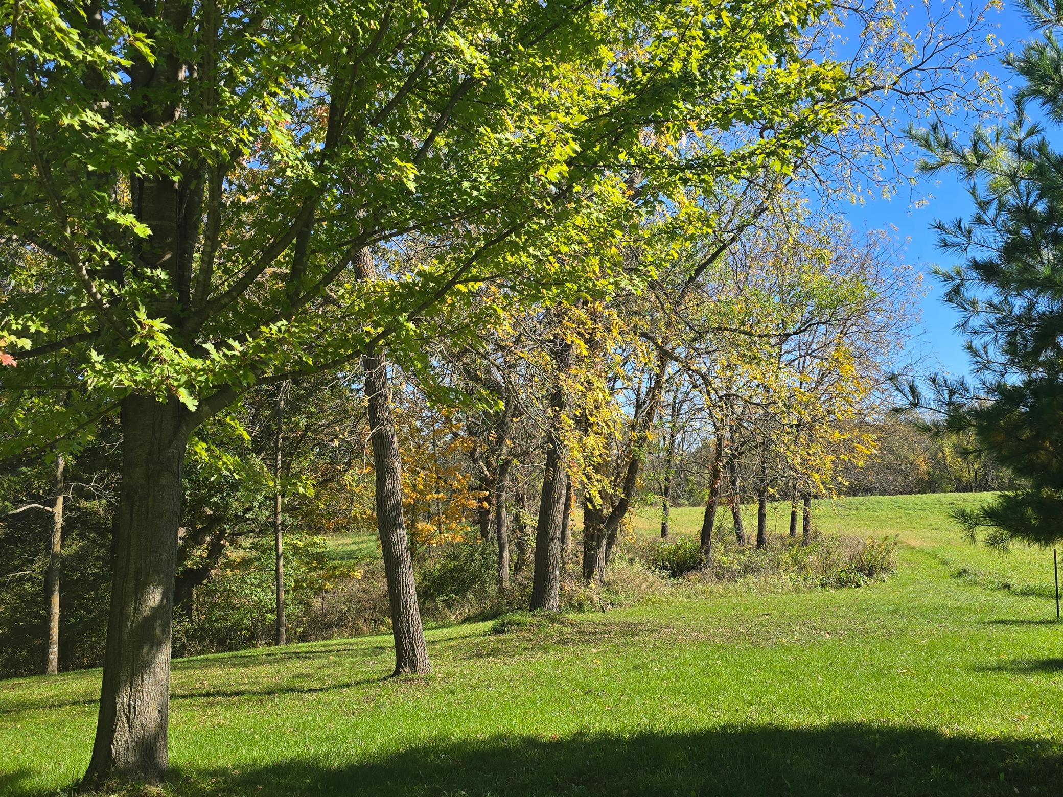 18123 Deer Road Property Photo 84