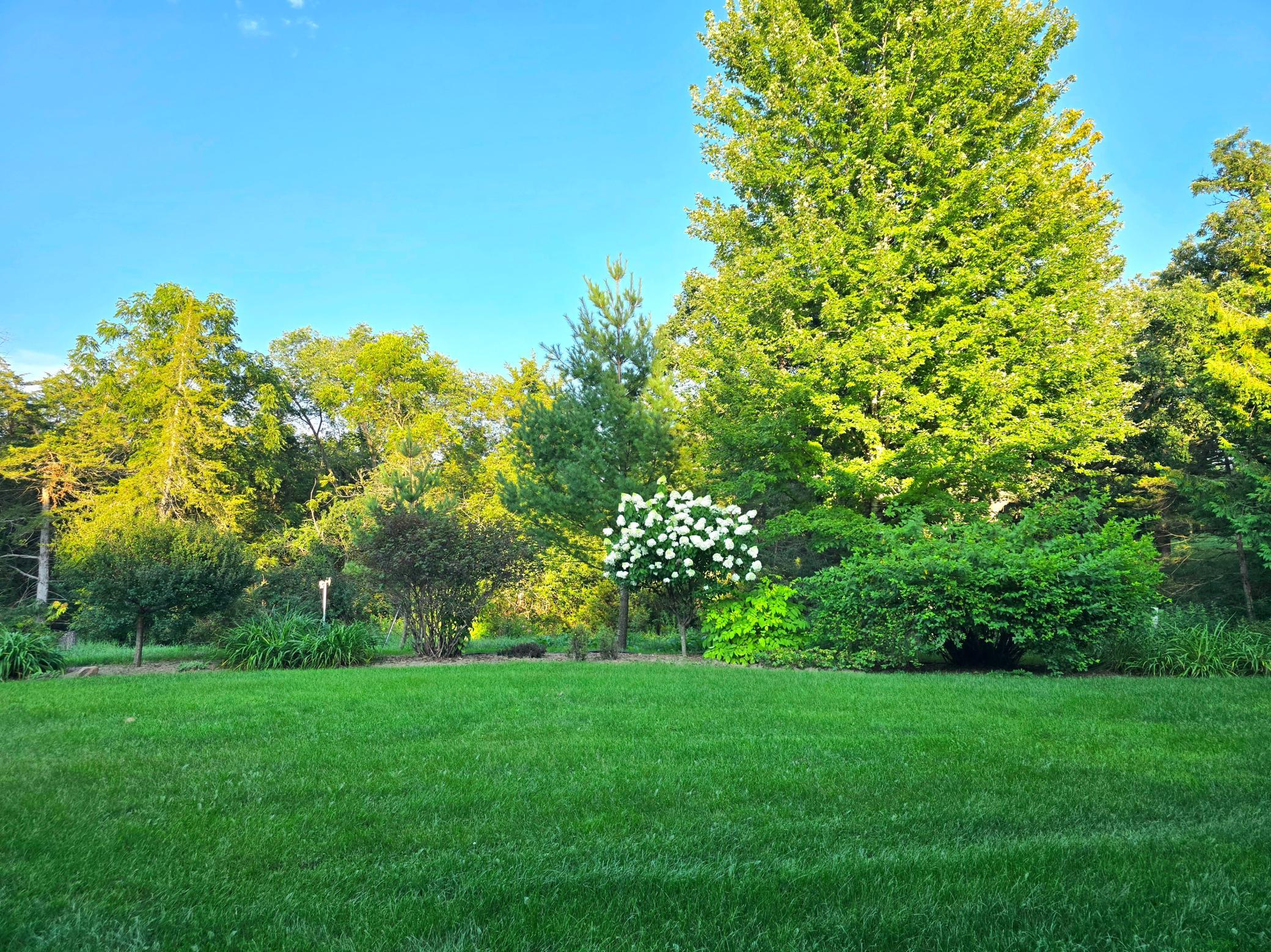 18123 Deer Road Property Photo 85