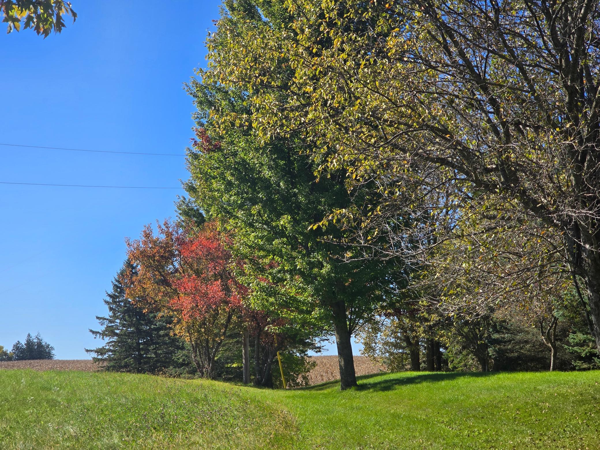 18123 Deer Road Property Photo 85
