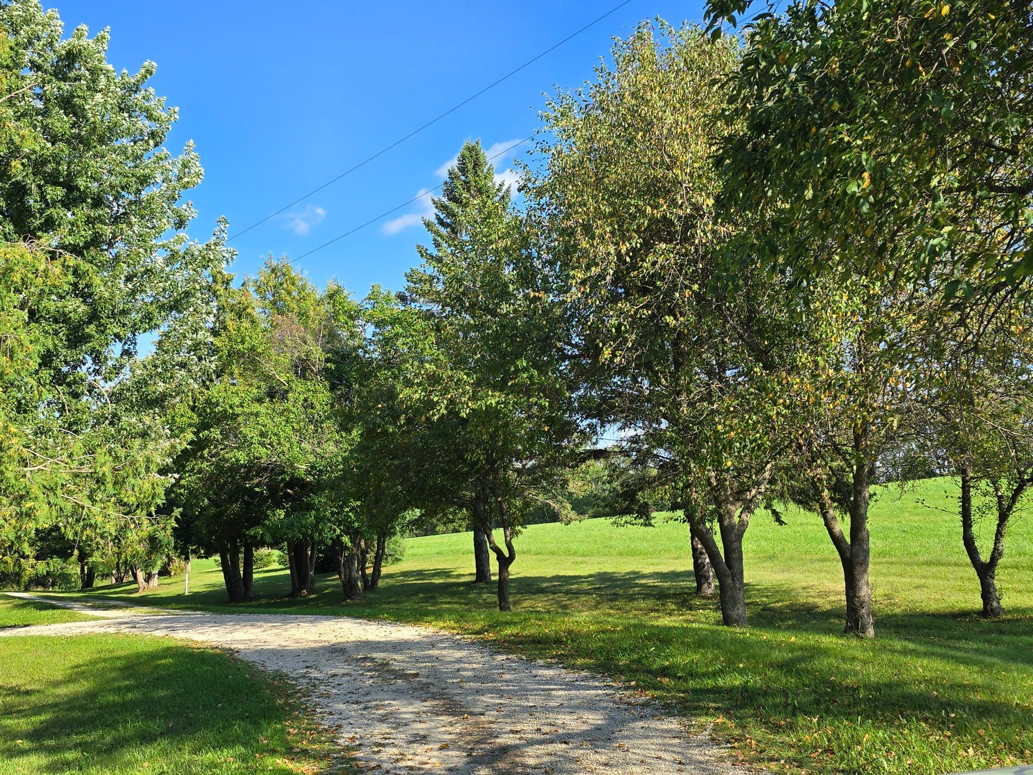 18123 Deer Road Property Photo 92