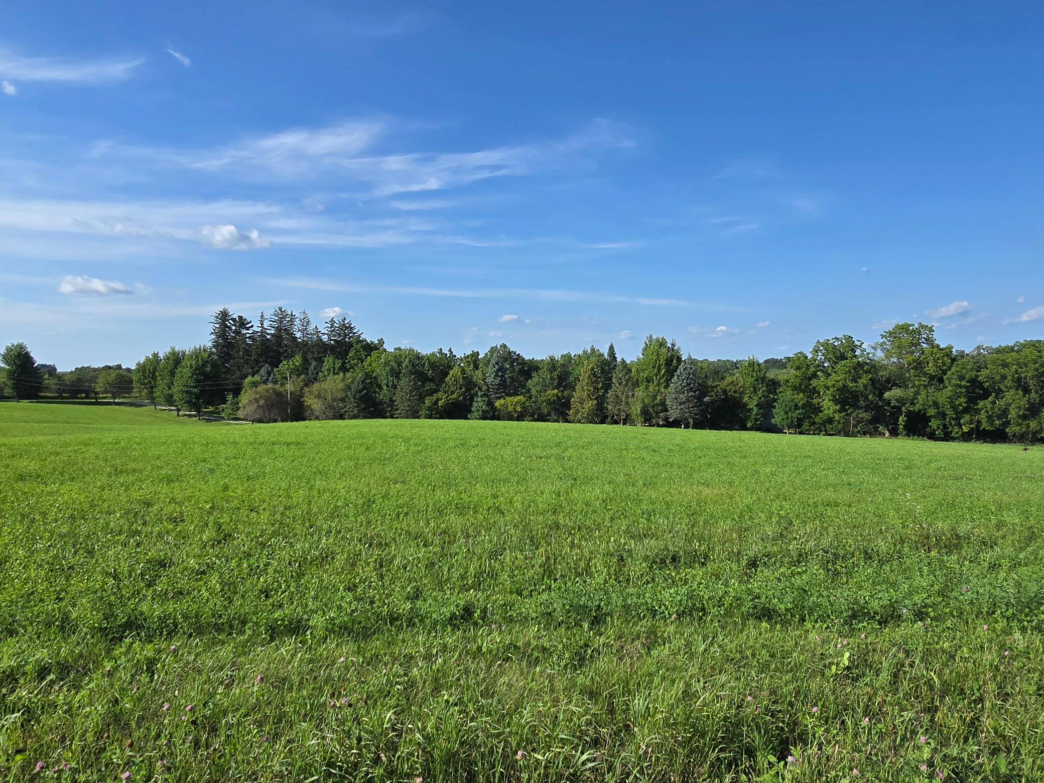 18123 Deer Road Property Photo 93