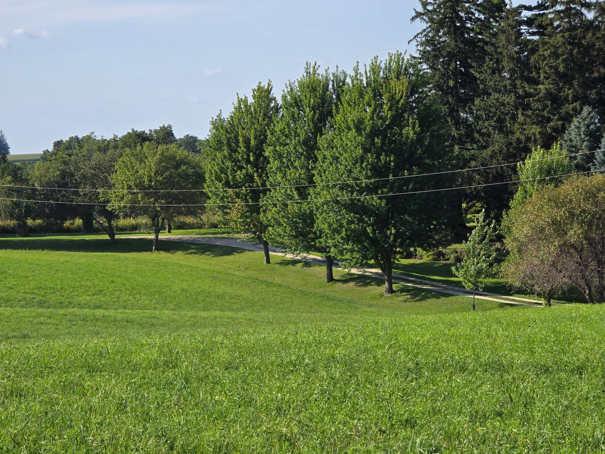 18123 Deer Road Property Photo 94