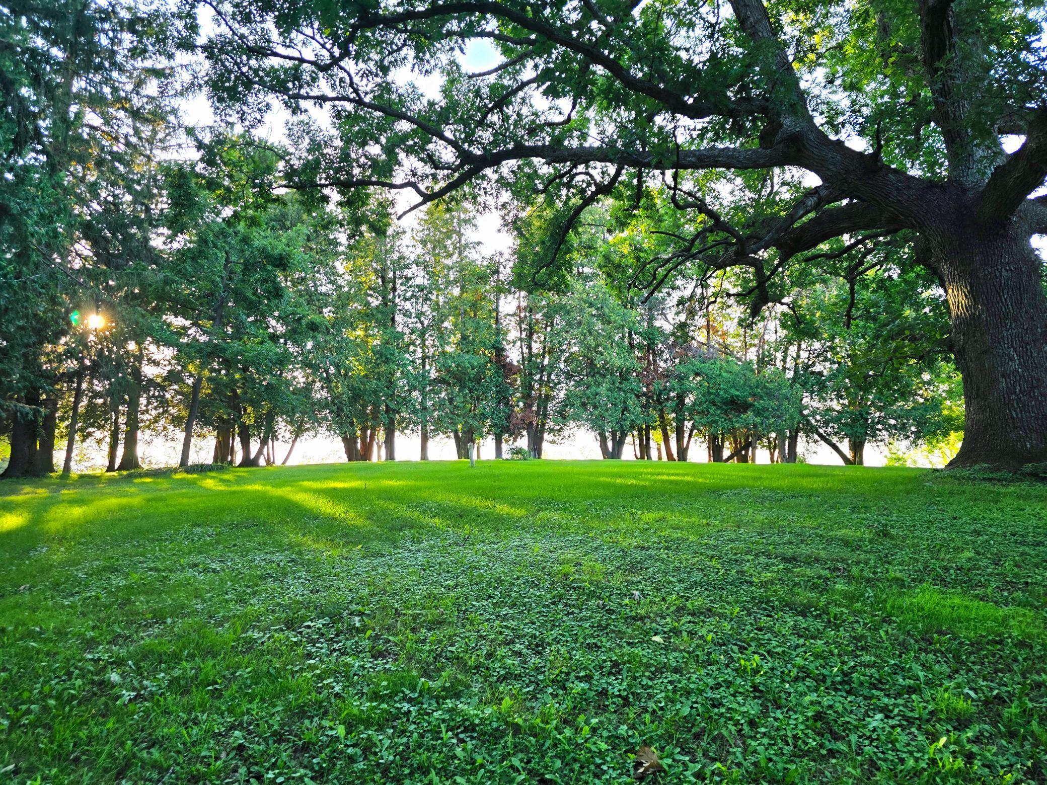 18123 Deer Road Property Photo 99