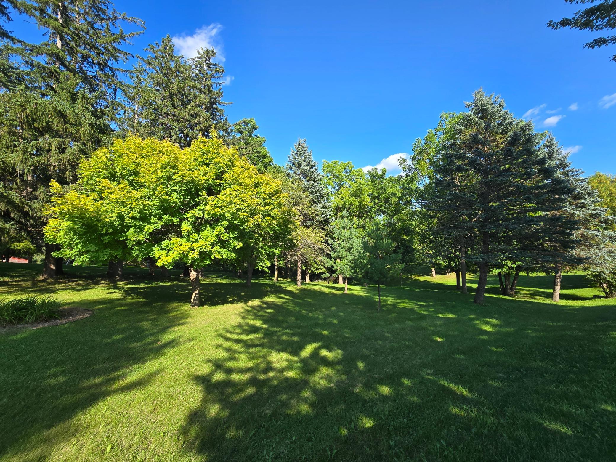 18123 Deer Road Property Photo 109