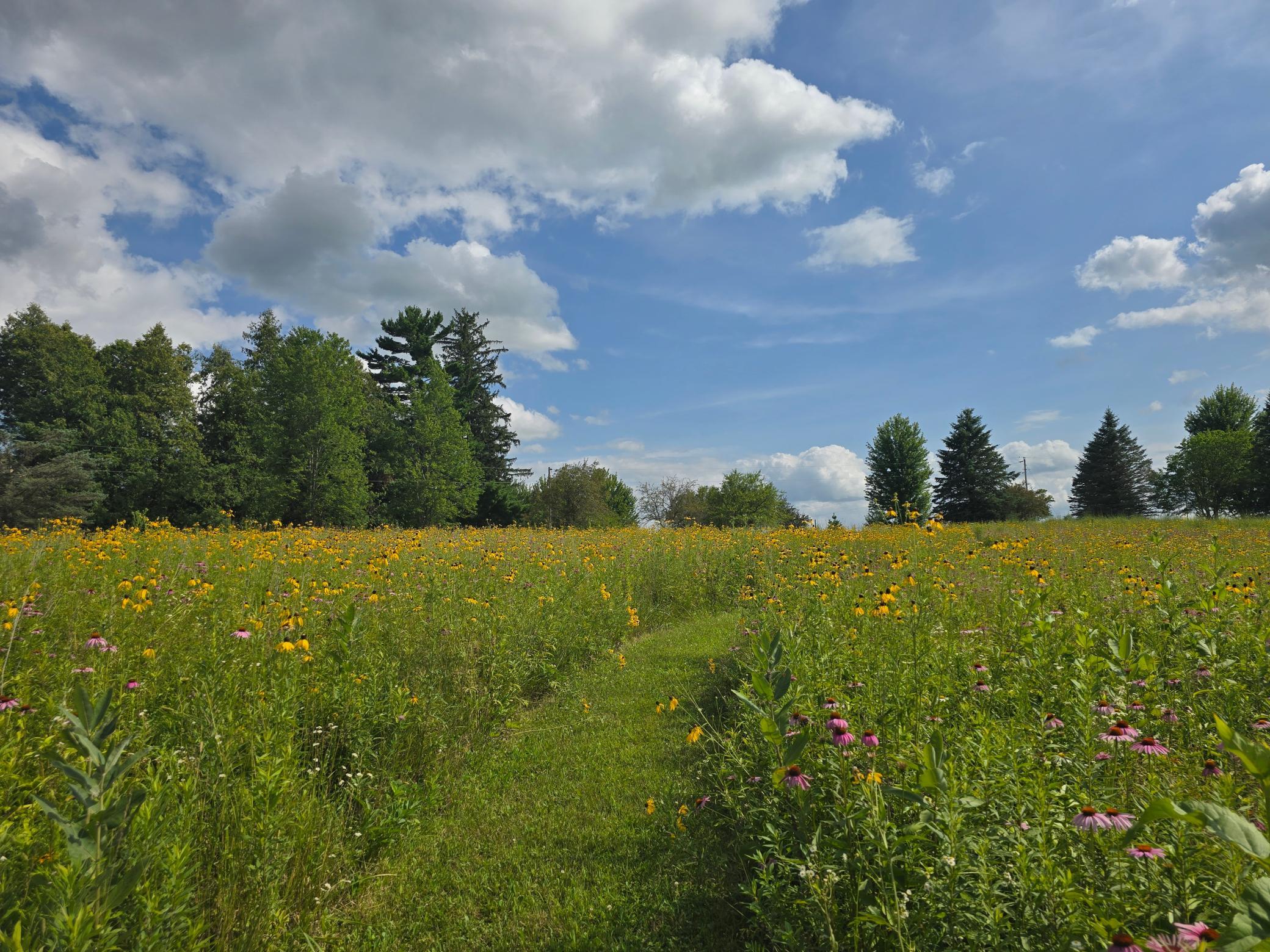 18123 Deer Road Property Photo 110