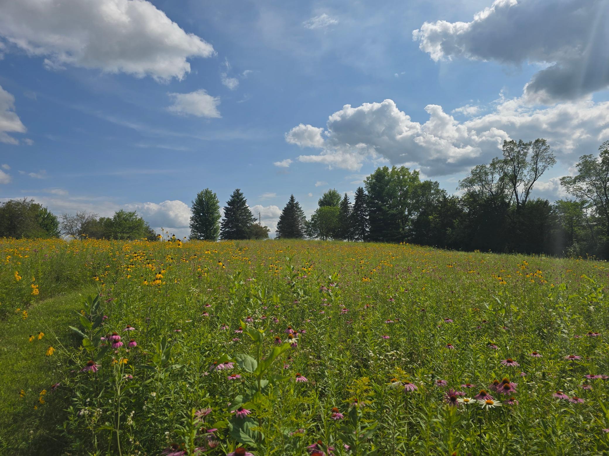 18123 Deer Road Property Photo 111